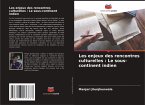 Les enjeux des rencontres culturelles : Le sous-continent indien Les enjeux des rencontres culturelles : Le sous-continent indien