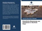 Künstliche Besamung von Schweinen in Burkina Faso Künstliche Besamung von Schweinen in Burkina Faso