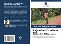 Cover Unfreiwillige Vertreibung und Wasserkraftstaudämme