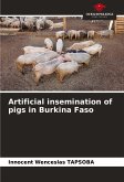 Artificial insemination of pigs in Burkina Faso Artificial insemination of pigs in Burkina Faso