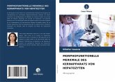 MORPHOFUNKTIONELLE MERKMALE DES KERNAPPARATS VON HEPATOZYTEN MORPHOFUNKTIONELLE MERKMALE DES KERNAPPARATS VON HEPATOZYTEN