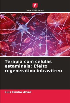 Cover Terapia com células estaminais: Efeito regenerativo intravítreo
