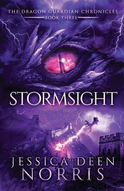 Cover Stormsight