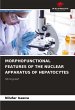 MORPHOFUNCTIONAL FEATURES OF THE... - Bild 1