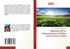 Méthodes PIF et Fragmentation de bulbes chez le Chou caraïbe - TSHIPAMBA WA TSHIPAMBA, Olivier