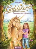 Goldstern. Traumpferd mit Hindernissen Goldstern. Traumpferd mit Hindernissen