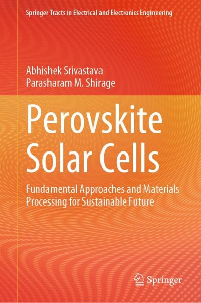 Perovskite Solar Cells (eBook, PDF)