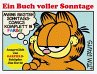 Garfield - Ein Buch voller Sonntage - Bild 1