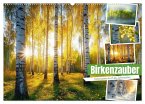 Birkenzauber (Wandkalender 2025 DIN A2 quer), CALVENDO Monatskalender