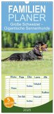Familienplaner 2025 - Große Schweizer - Gigantische Sennenhunde mit 5 Spalten (Wandkalender, 21 x 45 cm) CALVENDO Familienplaner 2025 - Große Schweizer - Gigantische Sennenhunde mit 5 Spalten (Wandkalender, 21 x 45 cm) CALVENDO
