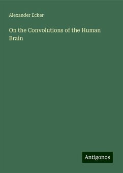 Cover On the Convolutions of the Human Brain