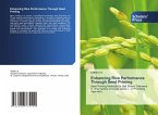 Enhancing Rice Performance Through Seed Priming