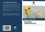 VOLIEREN, PHANTASIEFLUG