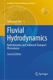 Fluvial Hydrodynamics (eBook, PDF)