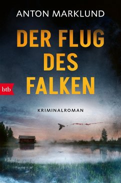 Cover Der Flug des Falken