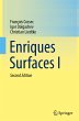 Enriques Surfaces I - Bild 1
