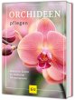 Orchideen pflegen - Bild 1
