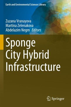 Cover Sponge City Hybrid Infrastructure
