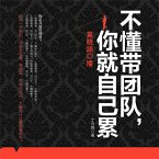 不懂带团队，你就自己累 (MP3-Download)