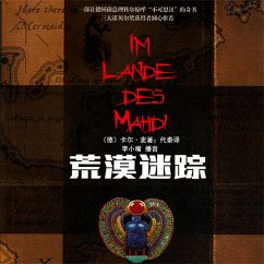 Cover 荒漠迷踪 (MP3-Download)