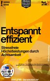 Entspannt effizient - Stressfreie Höchstleistungen durch Achtsamkeit (eBook, ePUB)