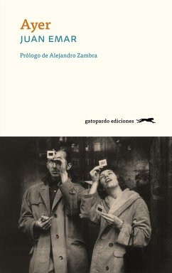 Cover Ayer (eBook, ePUB)