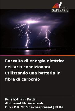 Cover Raccolta di energia elettrica nell'aria condizionata utilizzando una batteria in fibra di carbonio