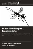 Diachasmimorpha longicaudata