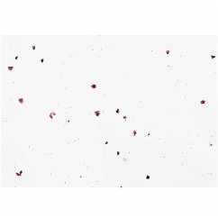 Bastelbogen 50 x 70 cm, Baumwollpapier mit Rosenblüten