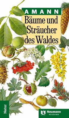 Cover Bäume und Sträucher des Waldes