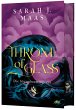 Die Sturmbezwingerin / Throne of Glass... - Bild 1