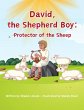 David, the Shepherd Boy - Bild 1
