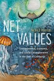 Net Values Net Values