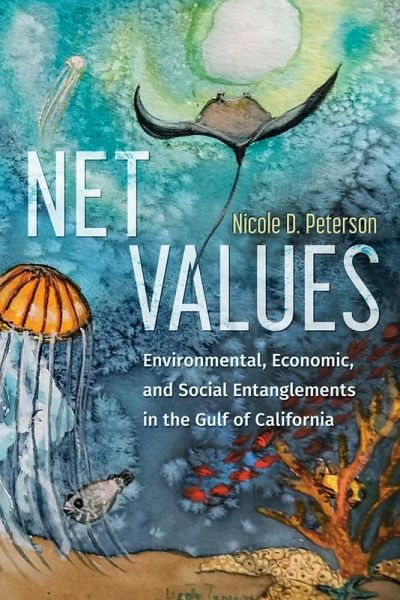 Net Values Net Values
