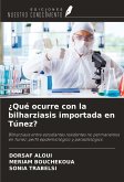¿Qué ocurre con la bilharziasis importada en Túnez? ¿Qué ocurre con la bilharziasis importada en Túnez?