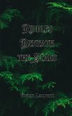 Riddles Beneath the Stars Riddles Beneath the Stars