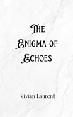 The Enigma of Echoes
