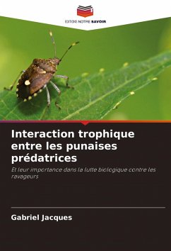 Interaction trophique entre les punaises prédatrices - Jacques, Gabriel