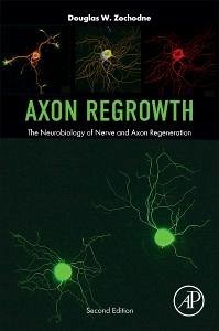 Cover Axon Regrowth