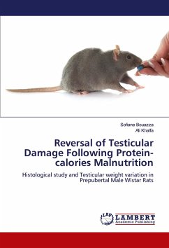 Reversal of Testicular Damage Following Protein-calories Malnutrition Reversal of Testicular Damage Following Protein-calories Malnutrition