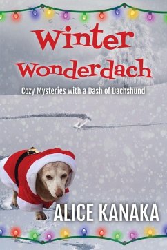Cover Winter Wonderdach