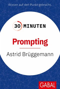 Cover 30 Minuten Prompting