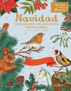 Cover Navidad