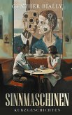 Sinnmaschinen (eBook, ePUB)