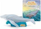 Tonies - KLE!NE EXPERTEN tauchen mit Walen