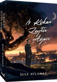Is Kokan Zeytin Agaci 2