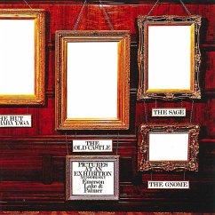 Cover Pictures At An Exhibition (Lp)