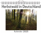 Herbstwald in Deutschland