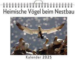 Cover Heimische Vögel beim Nestbau