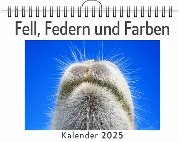 Fell, Federn und Farben Fell, Federn und Farben